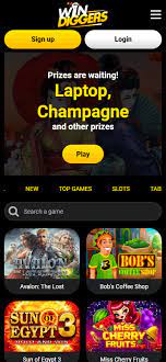 Win Diggers Online Casino Evaluation (2025 )